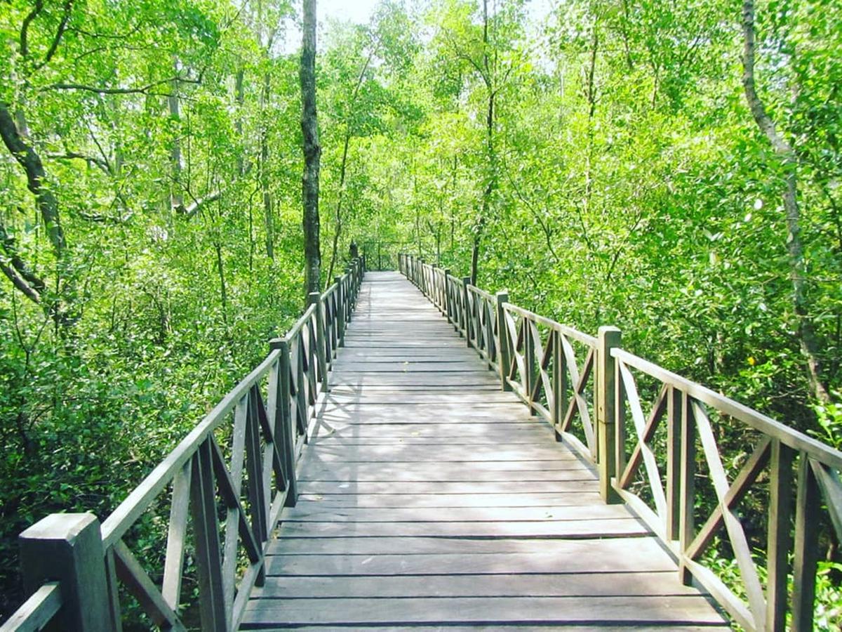 Ekowisata Mangrove Penajam
