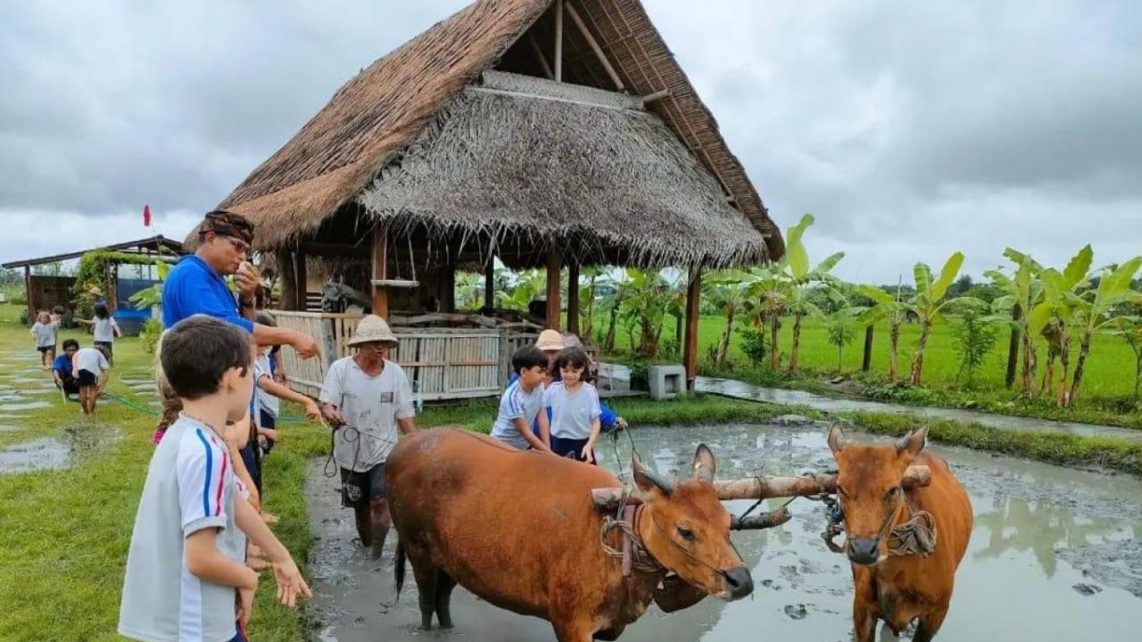 Fasilitas di Desa Budaya Kertalangu.jpg