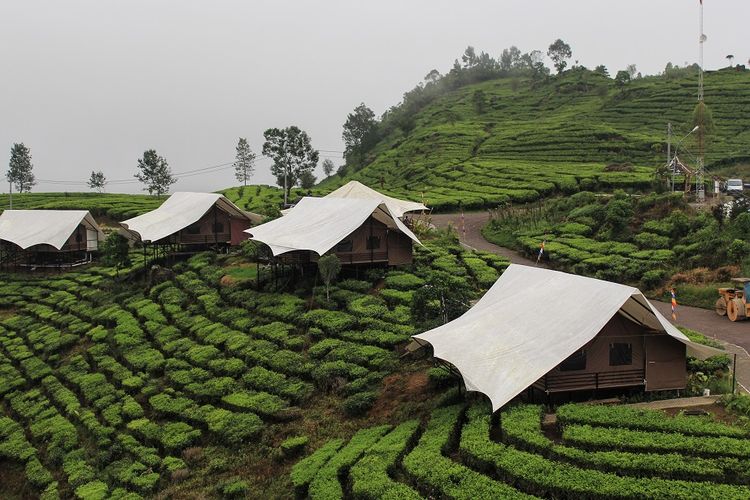 Glamping Lakeside Rancabali.jpg