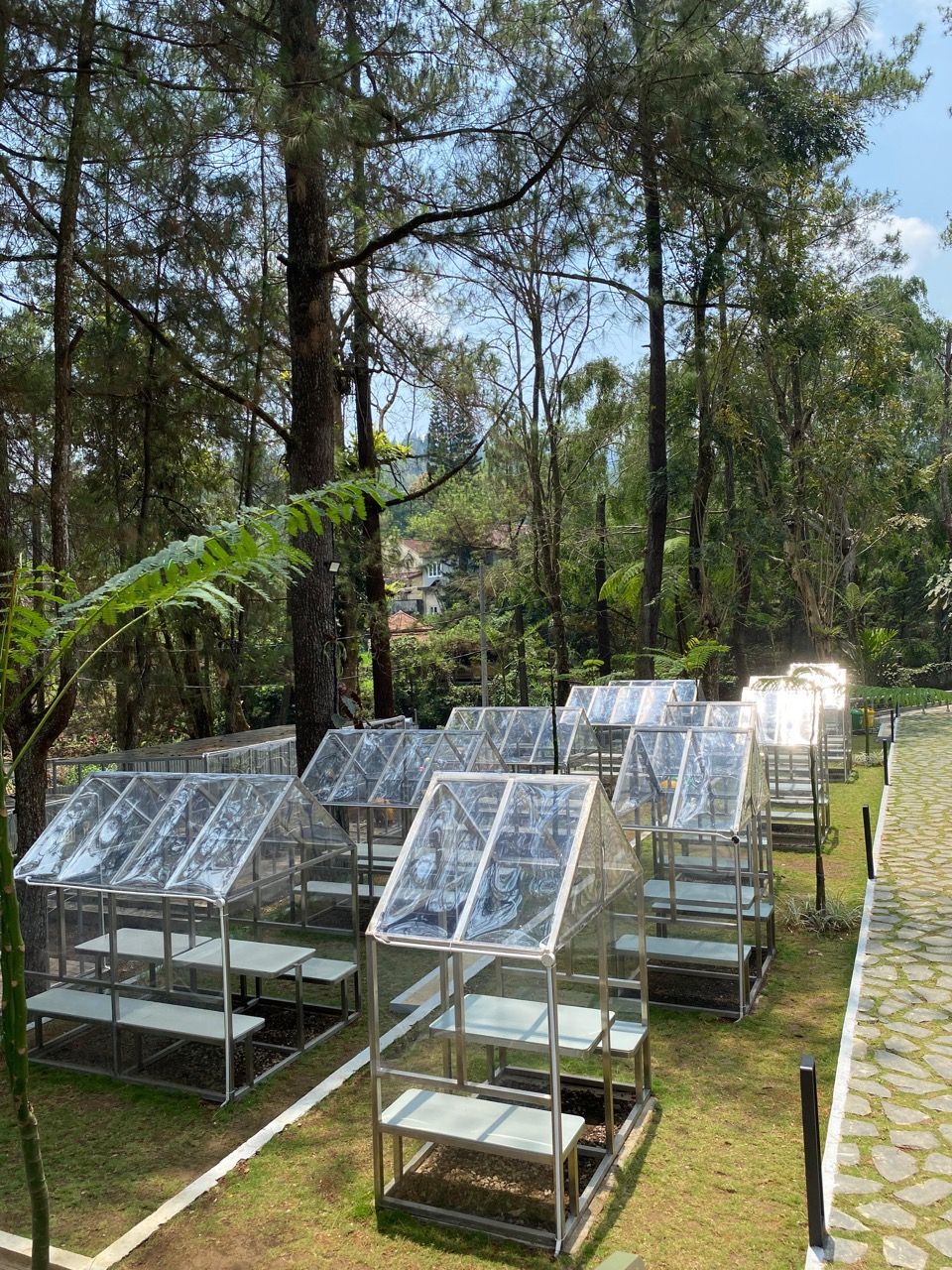 Heha Waterfall Bogor.jpeg