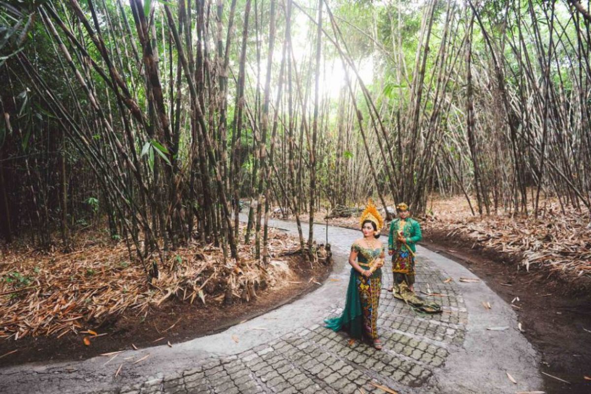 Hutan Bambu Desa Penglipuran.jpg