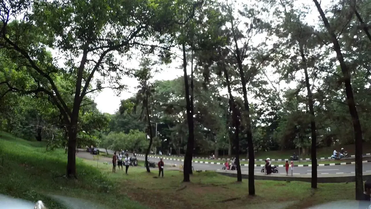 Hutan Kota Depok