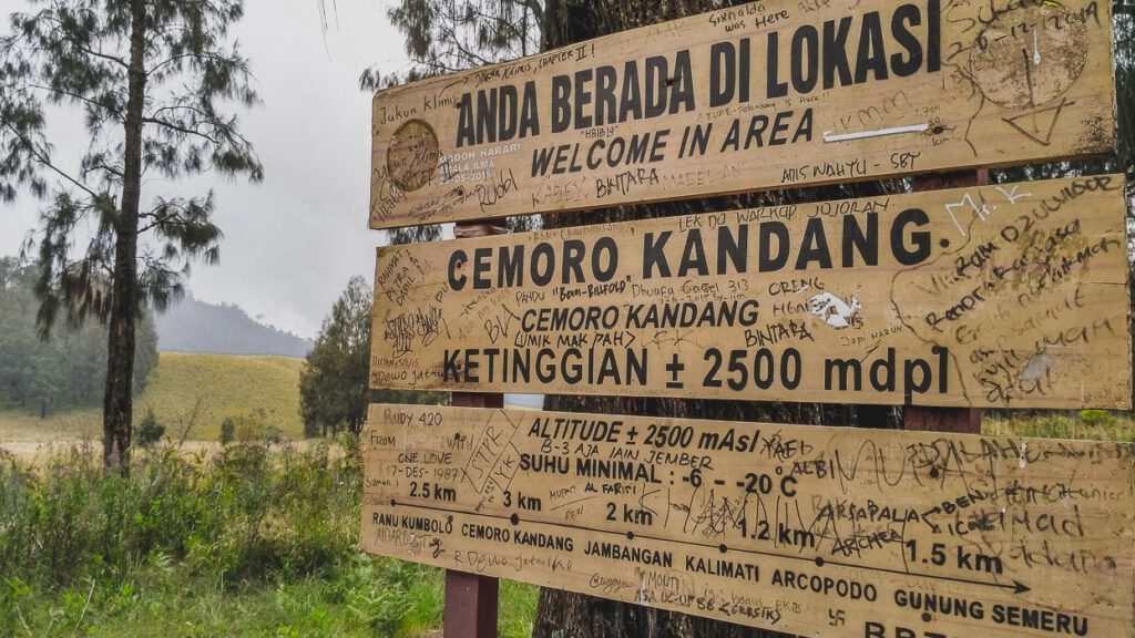 Jalur Cemoro Kandang Lawu.jpg