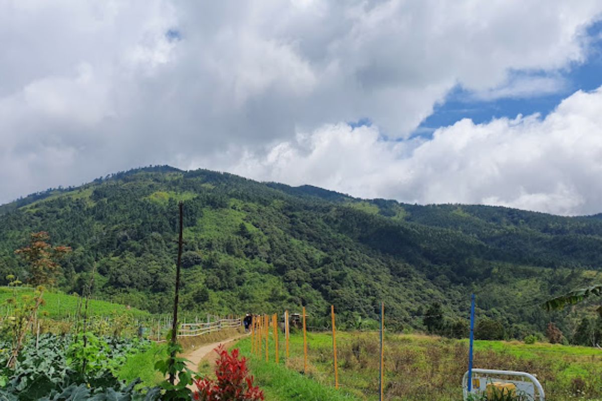 Jalur Pendakian Ringan.jpg