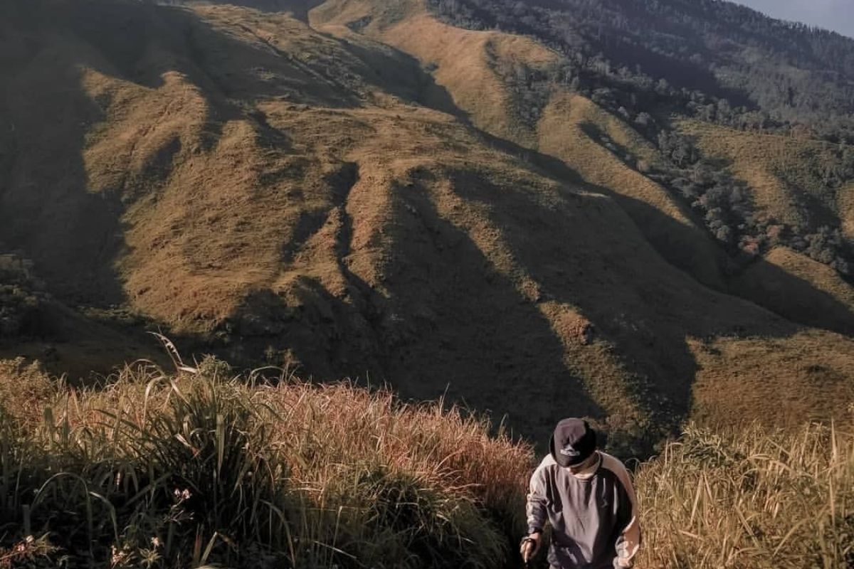 Jalur pendakian ke Gunung Pundak.jpg