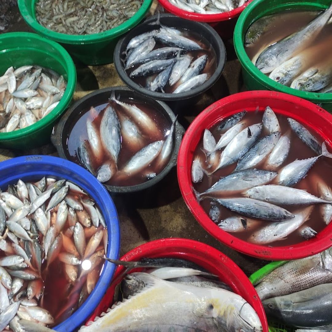 Jenis ikan di Pasar Kobong Semarang.jpg