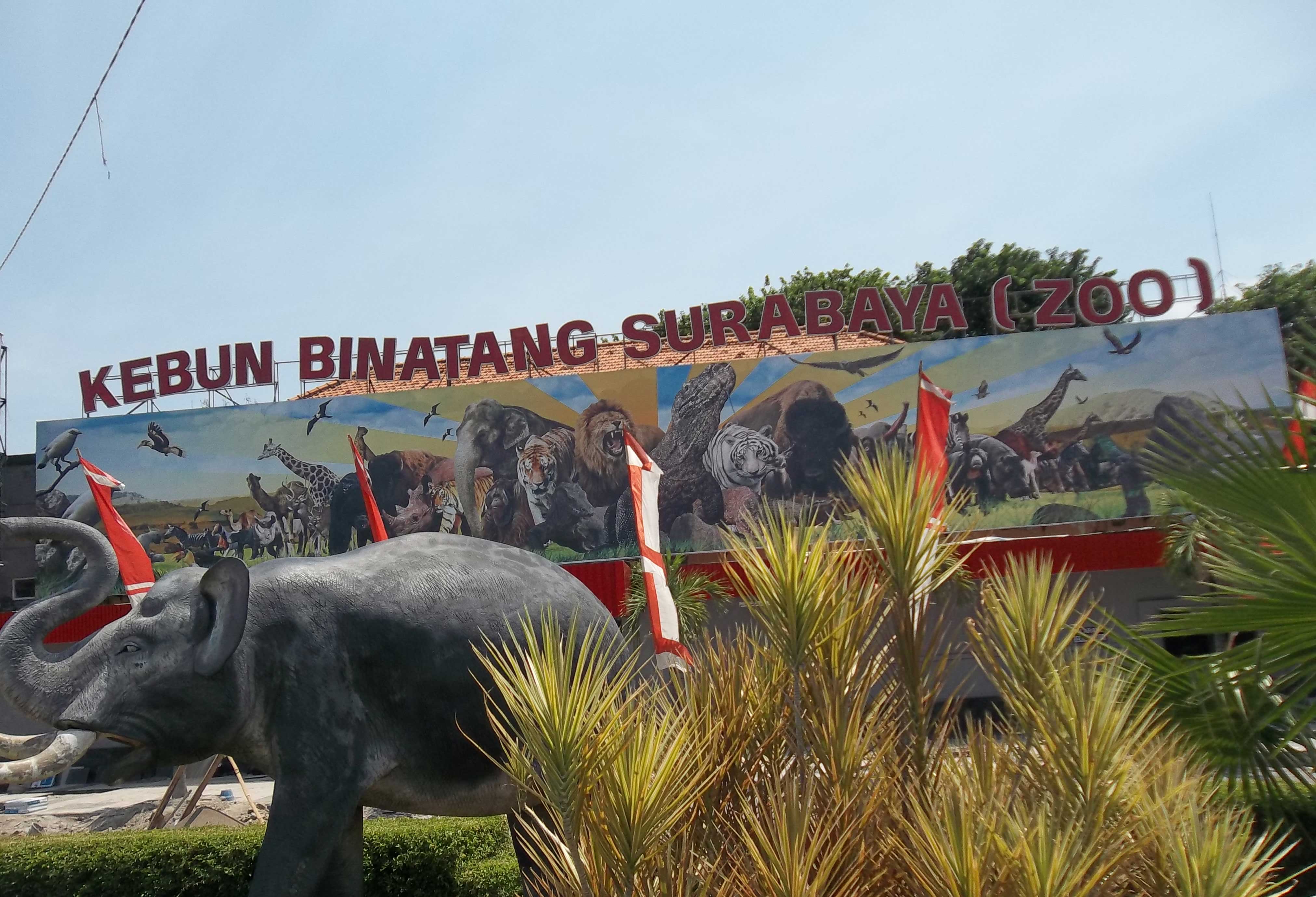Kebun Binatang Surabaya