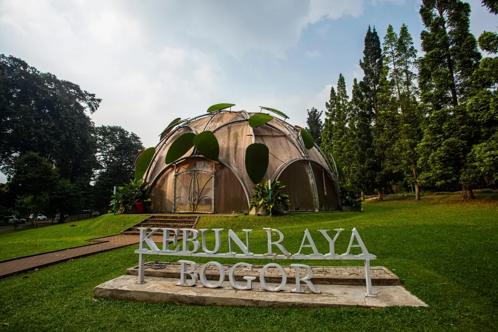 Kebun Raya Bogor.webp