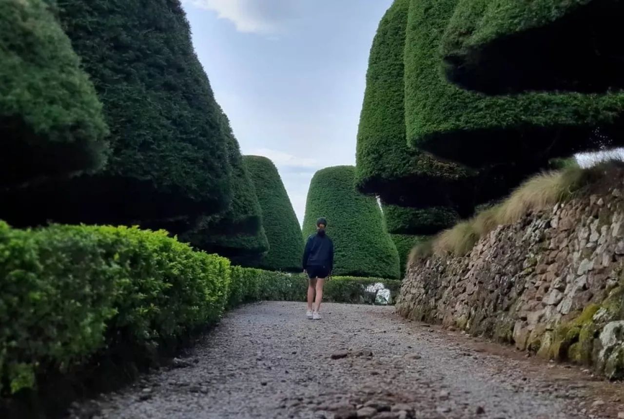 Keunikan Jamur Raksasa (1).jpg