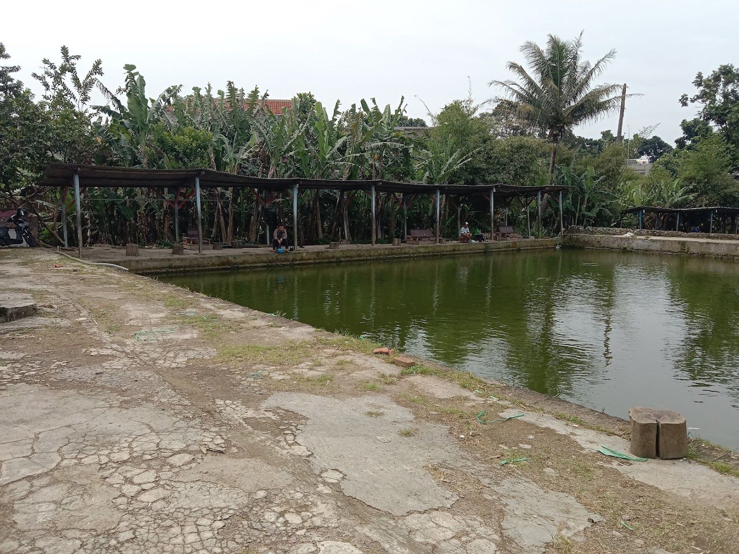 Kolam Pemancingan Simpang Padalarang.jpg
