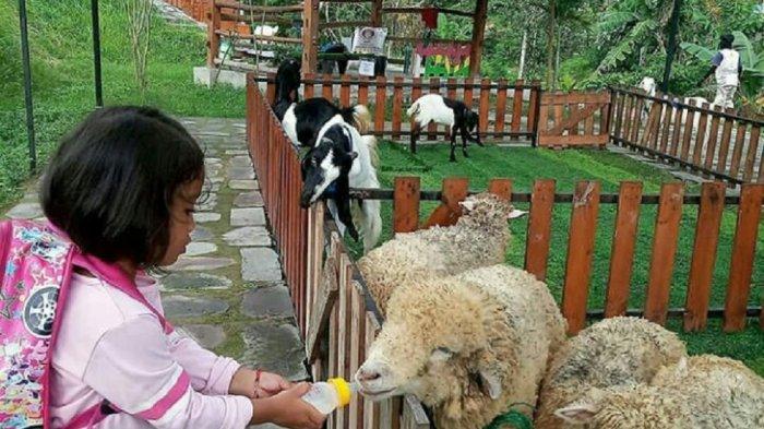 Koleksi Satwa yang Lengkap.jpg