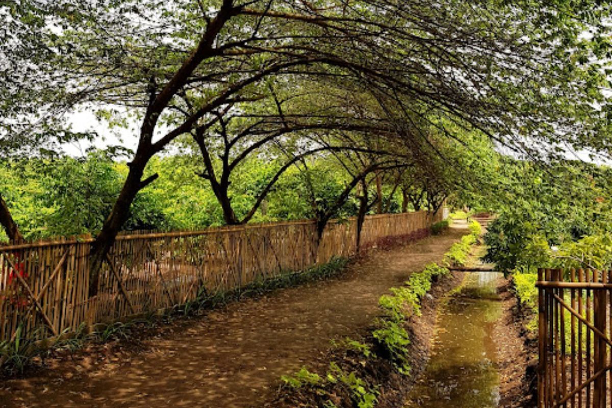 Lokasi dan Akses Menuju Alas Prambon.jpg