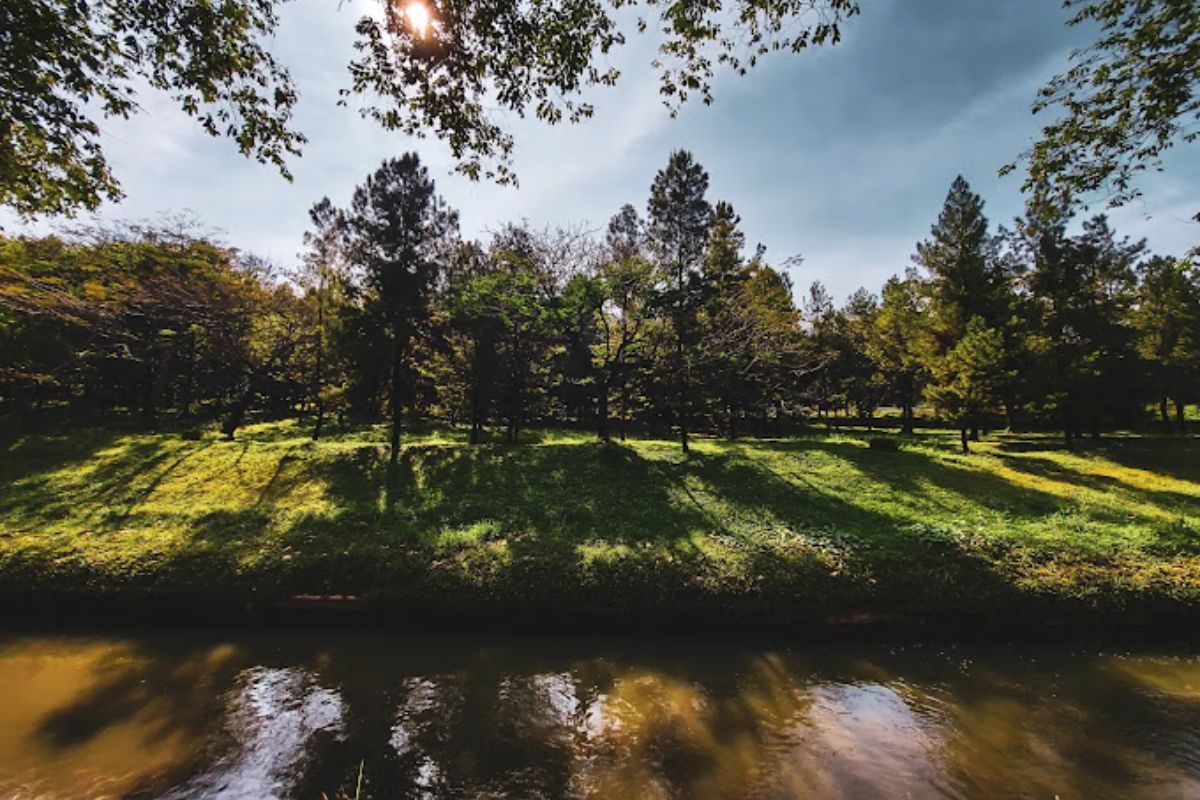 Melakukan interaksi dengan satwa.jpg