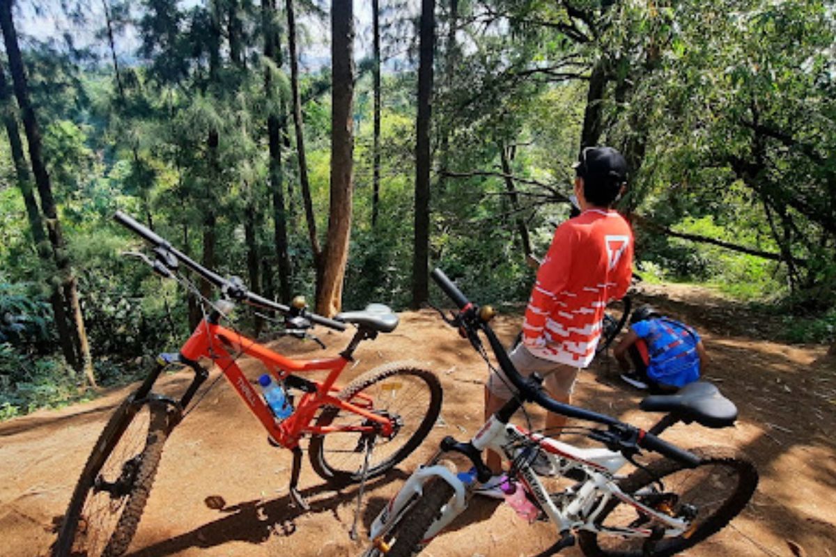 Melakukan olahraga di alam bebas.jpg