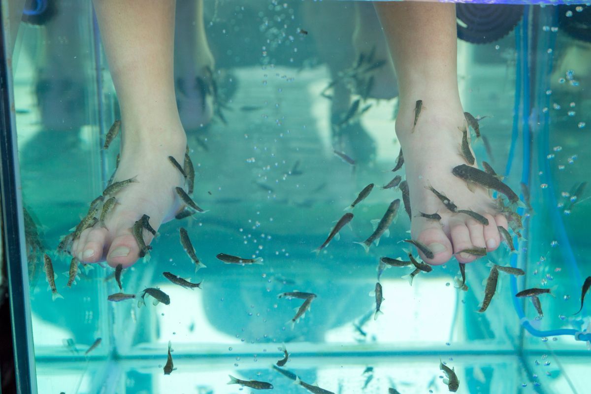 Merendam kaki di kolam terapi.jpg