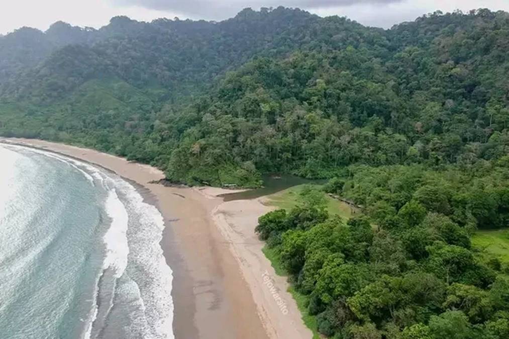 Misteri di Sekitar Pantai Bandealit Jember.jpg
