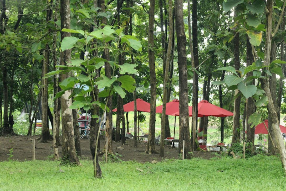 Paket wisata outbound.jpg