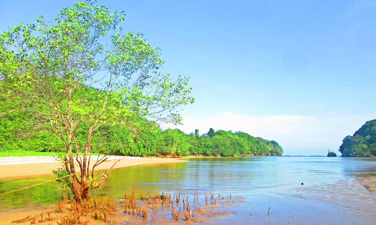 Pesona Pantai Clungup, Surga Tersembunyi di Kota Apel