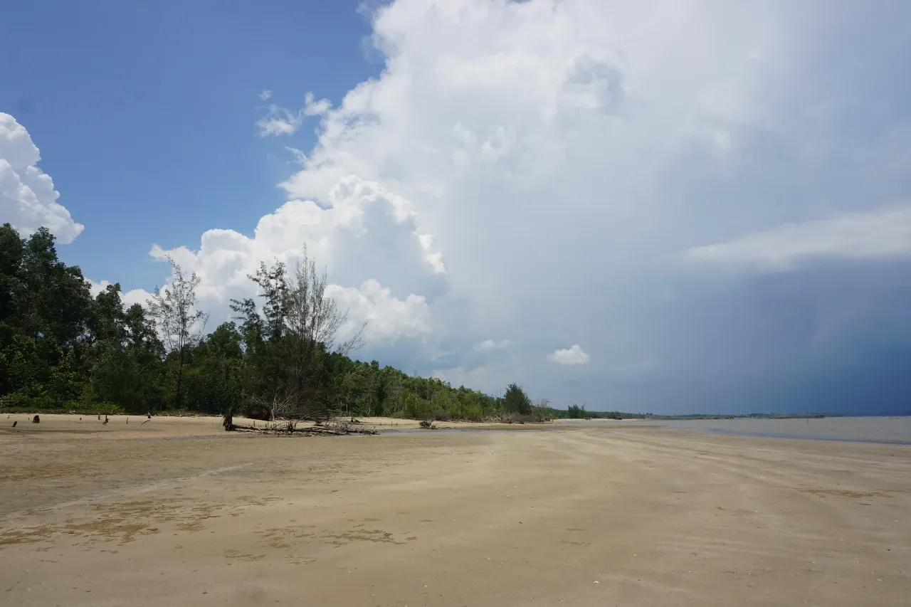 Pantai di Penajam Paser Utara.webp
