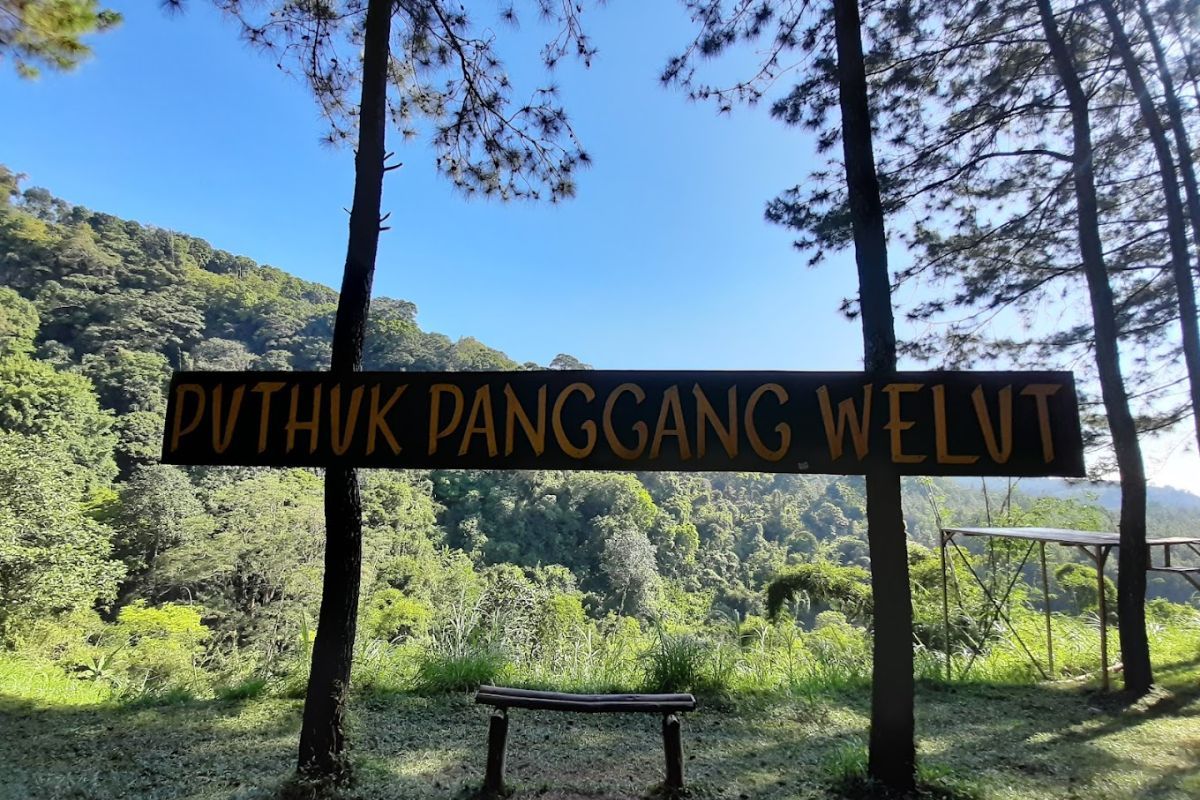 Puthuk Panggang Welut: Wisata Hutan Pinus & Air Terjun
