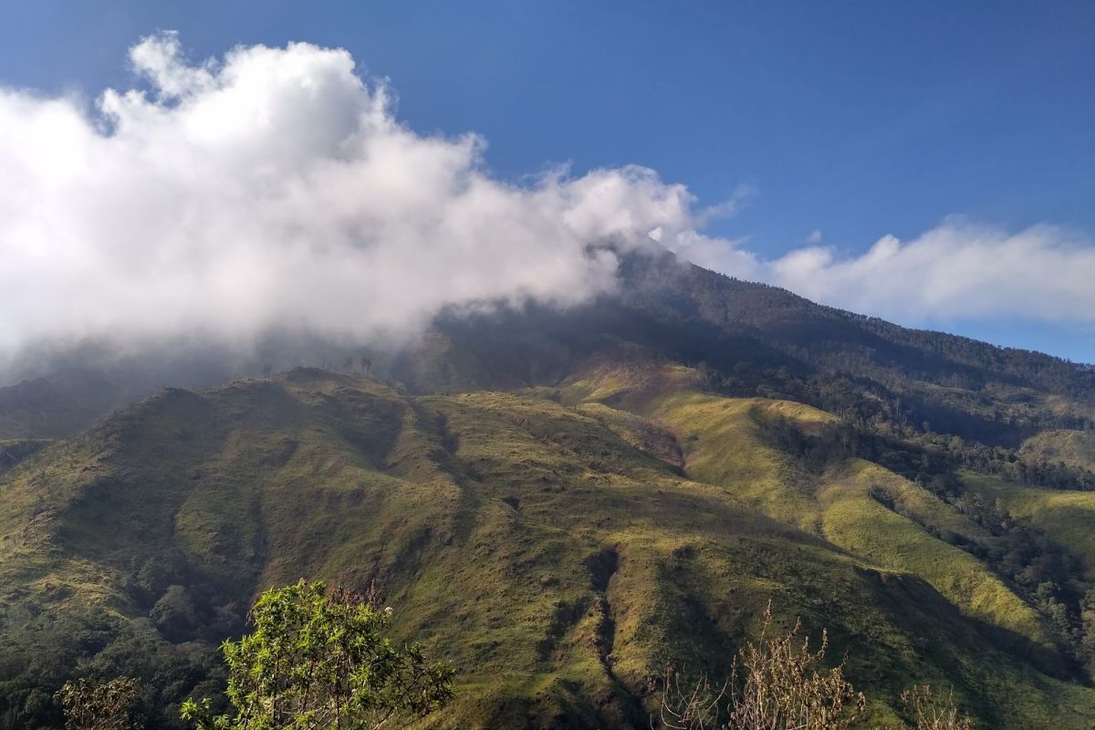 Pendakian Gunung Pundak: Tiket, Jalur & Keindahannya