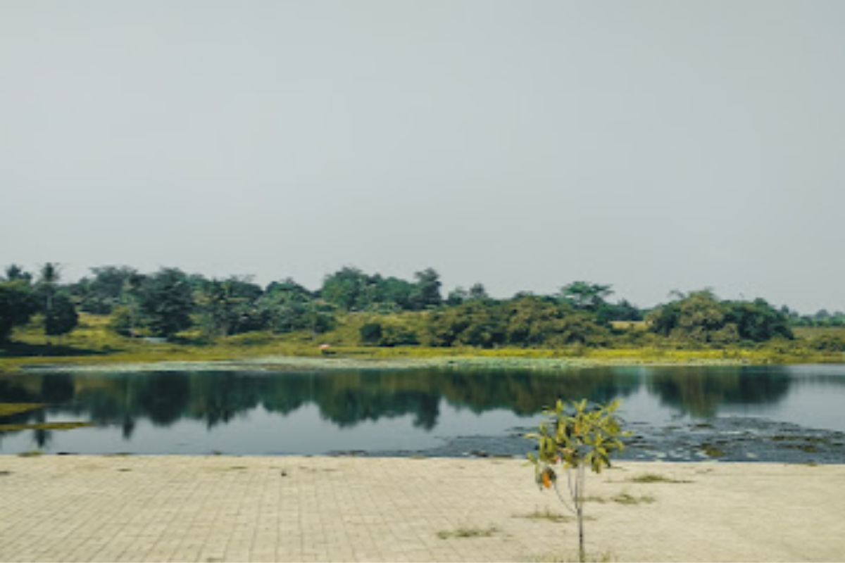 Pesta Rakyat pada Hari Tertentu.jpg