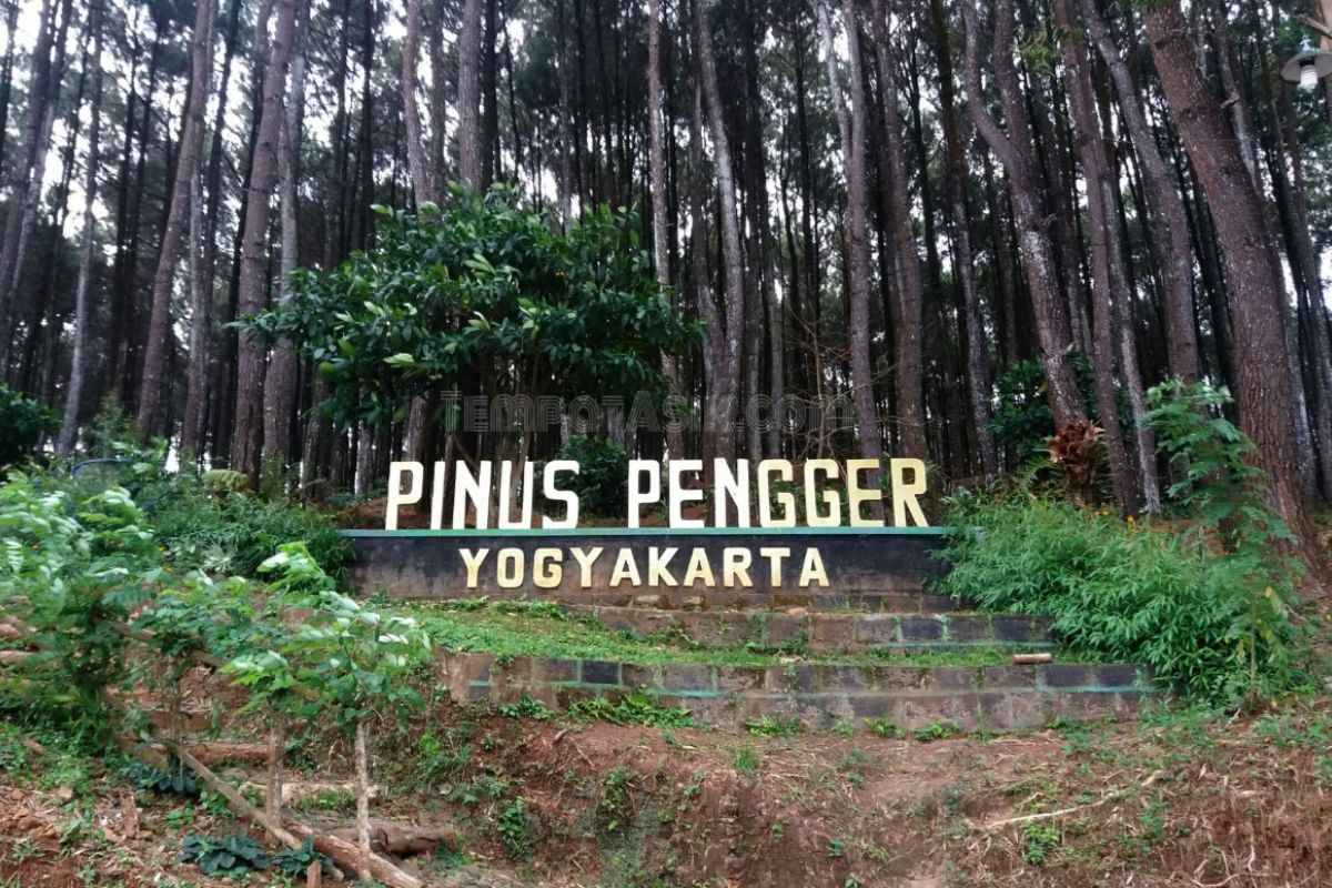 Plang depan wisata Hutan Pinus di Pengger.jpg