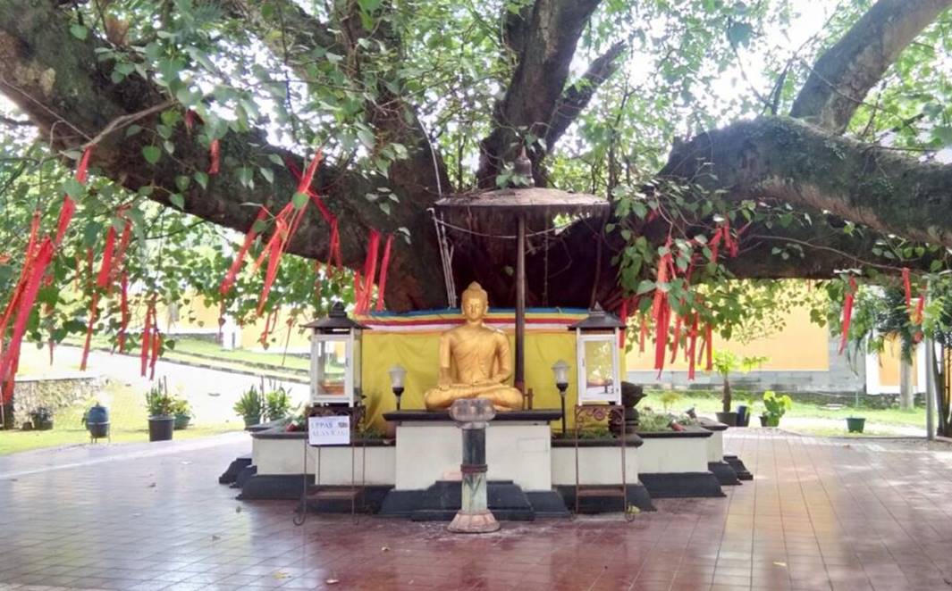 Ritual Tjiam Shi dan Pita Pengharapan di Pohon Bodhi (1).jpg
