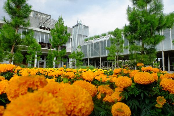 Ulik Pengetahuan Soal Wewangian di Rumah Atsiri