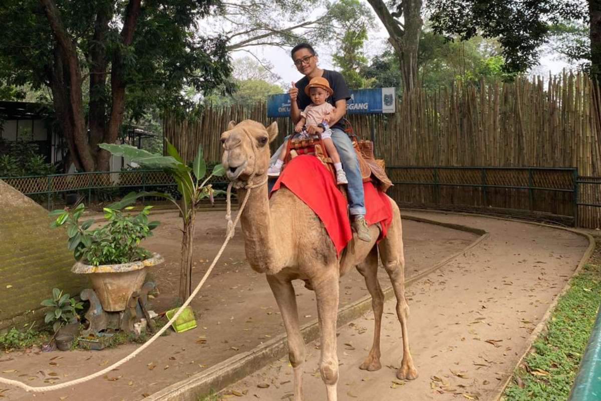 Wahana di Bandung Zoo