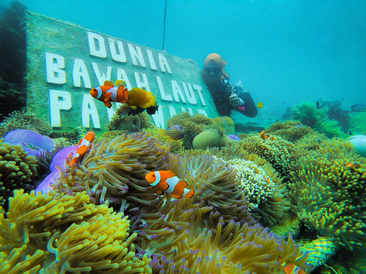 Wisata Taman Nemo.jpg