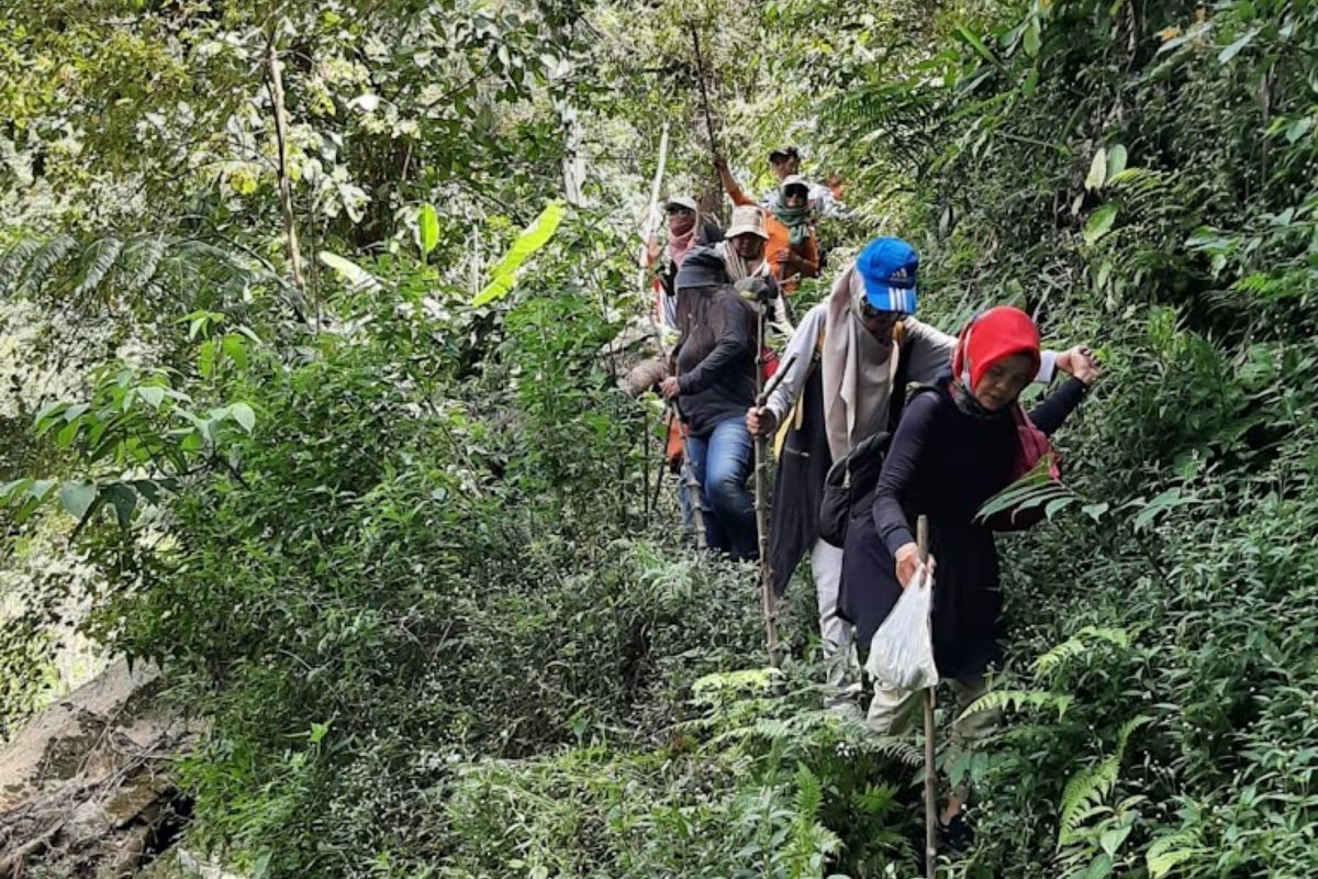 Wisatawan sedang menuruni trek menuju Curug Lawe.jpg