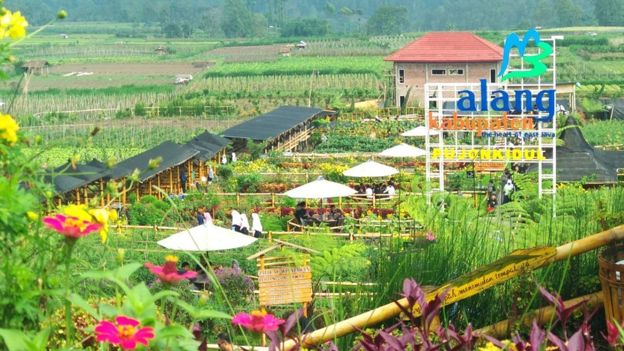 cafe sawah pujon malang.jpg