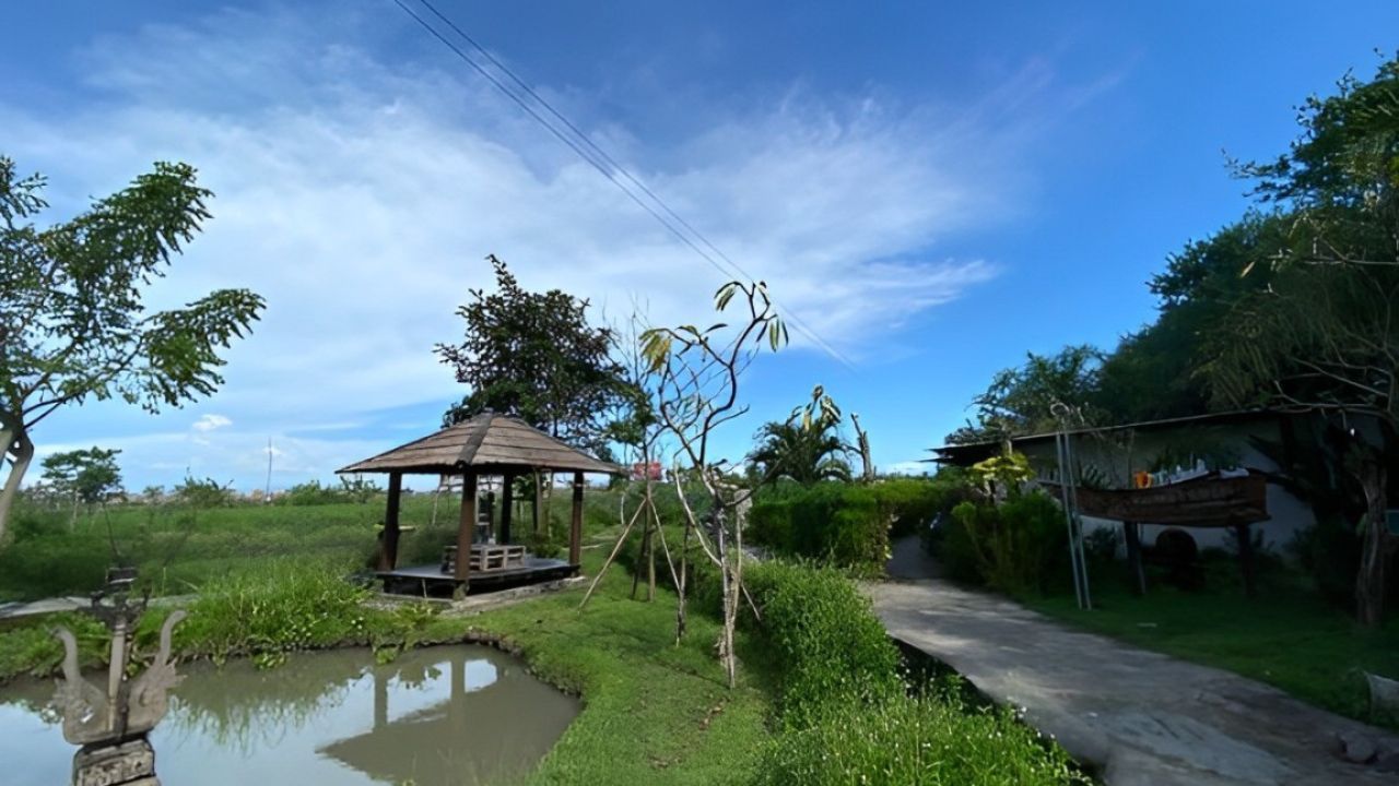 desa wisata di bali.jpg