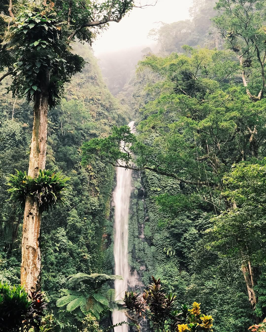 gambar air terjun tancak.jpg