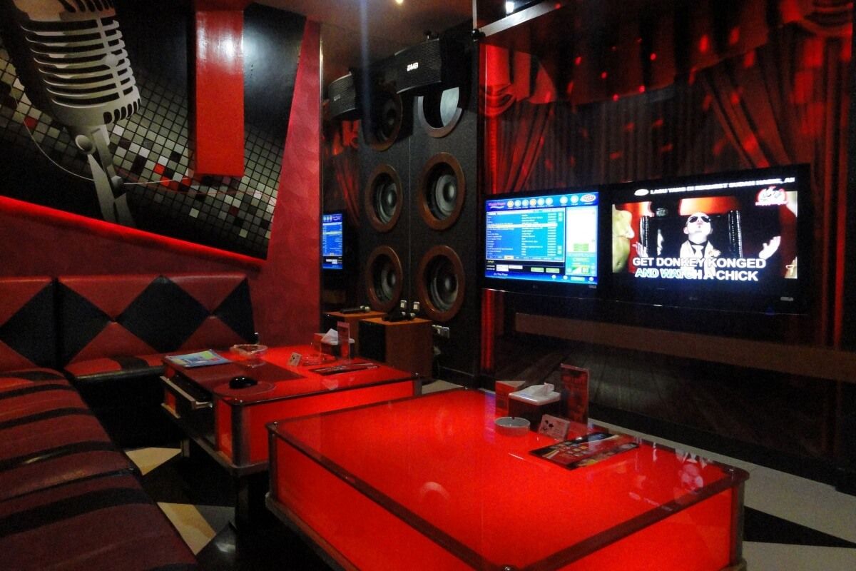 happy puppy green garden