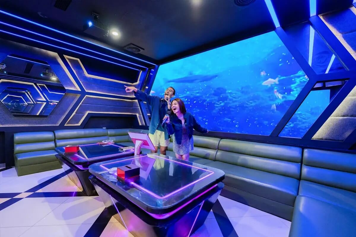 inul vizta central park