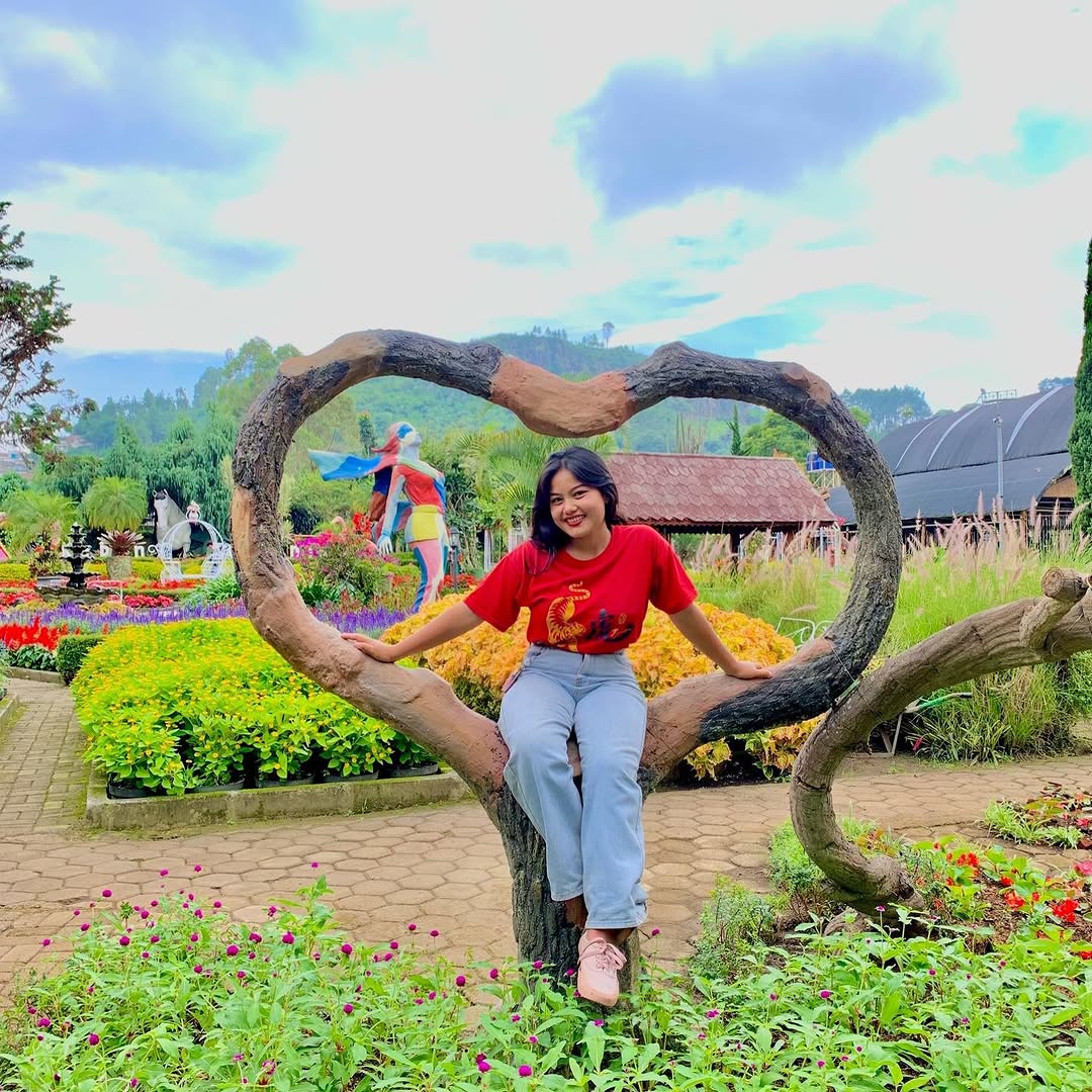 kebun bunga begonia di lembang.jpg