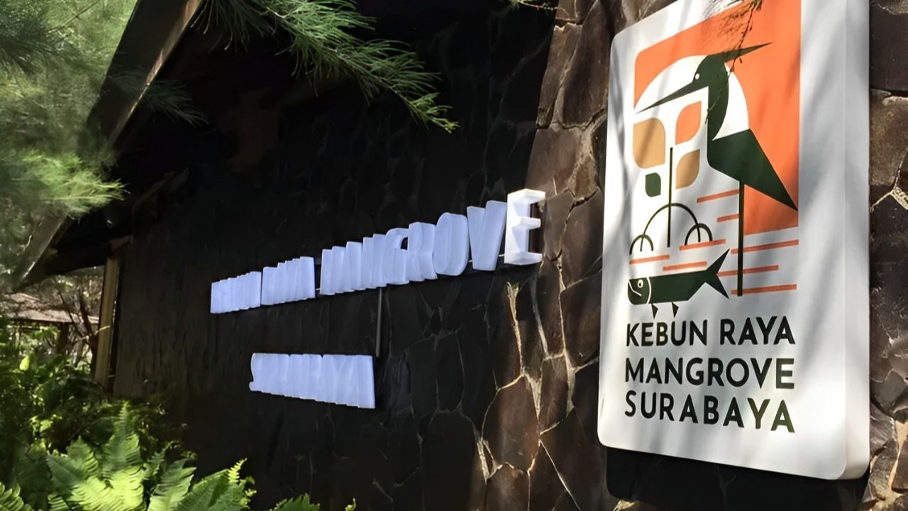 Kebun Raya Mangrove Surabaya: Ulasan Lengkap, Daya Tarik, Lokasi, dan Jam Buka