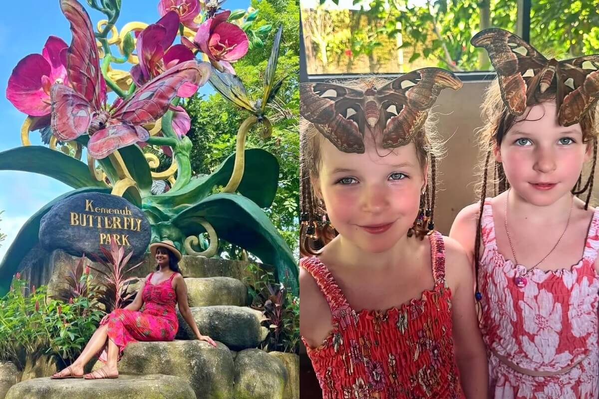 kemenuh butterfly park bali 