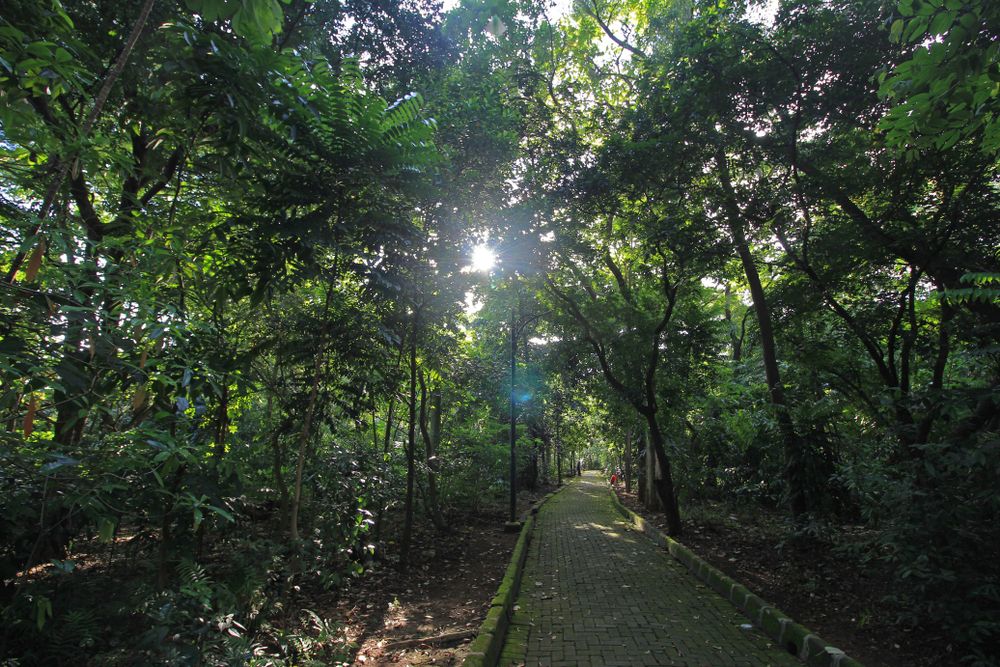 lokasi hutan kota srengseng.jpg
