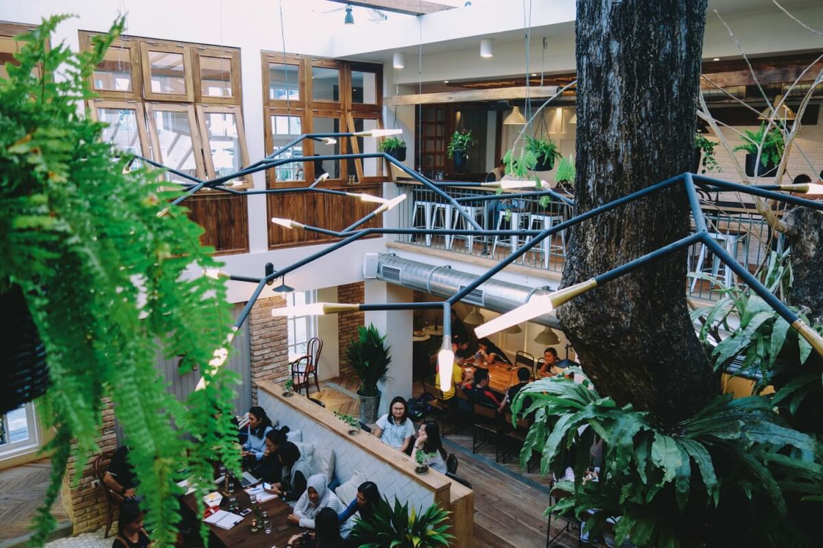 lucky cat coffee and kitchen