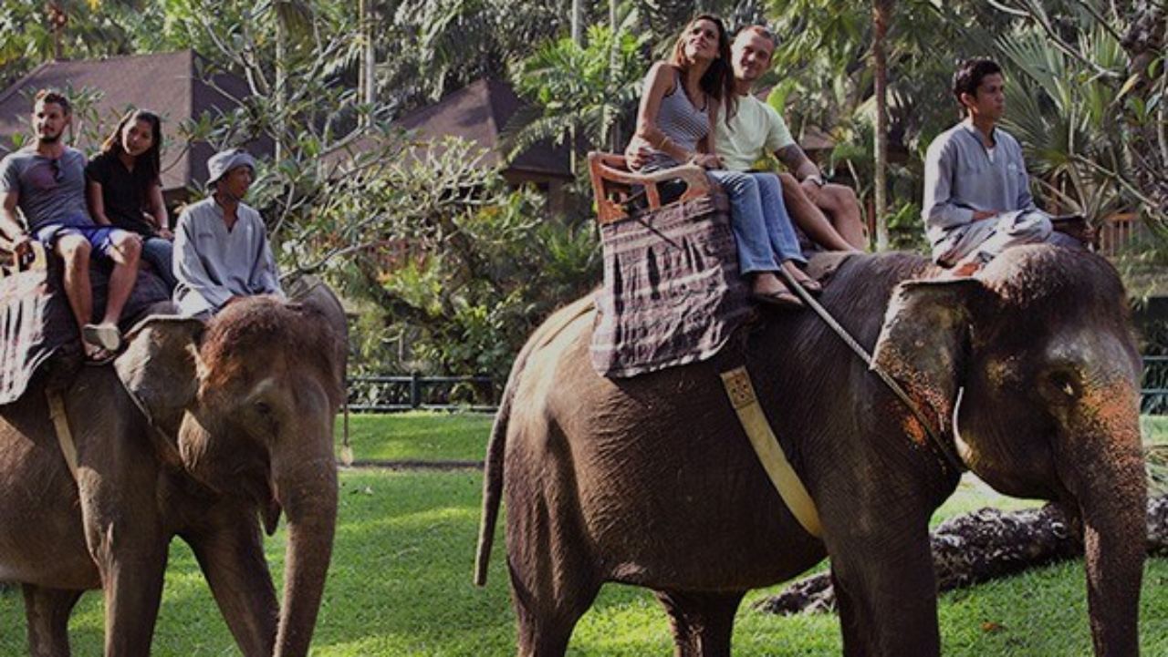 mason elephant park bali.jpg