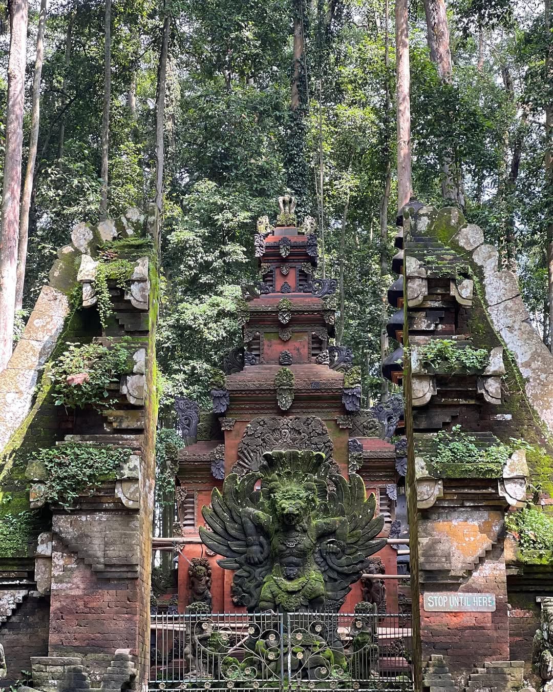 pura sangeh monkey forest.jpg