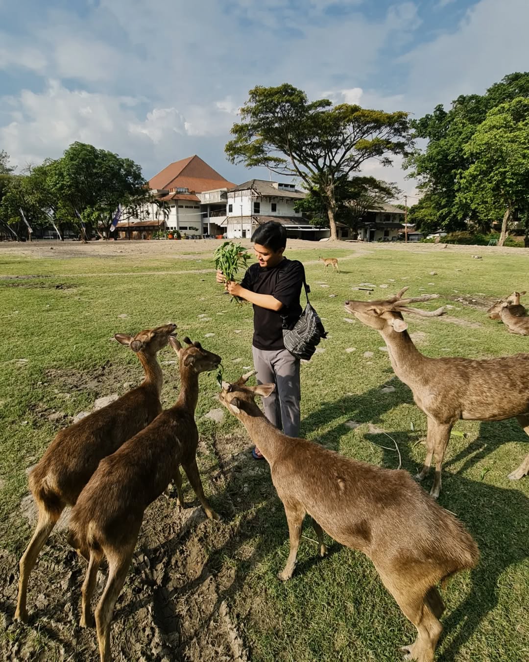 rusa taman balekambang.jpg