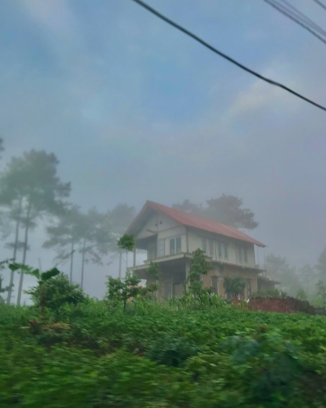 sejarah kebun teh wonosari.jpg