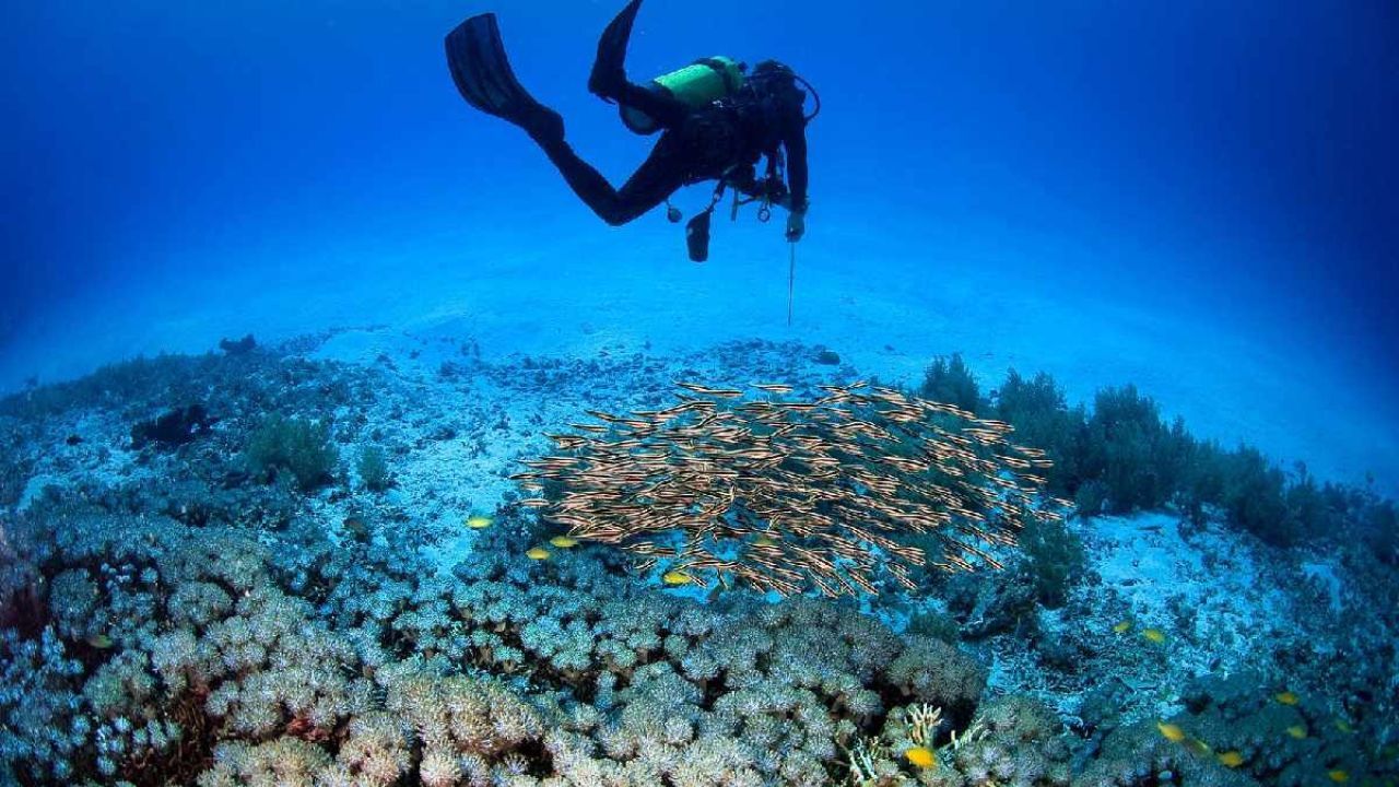 tempat diving di bali.jpg