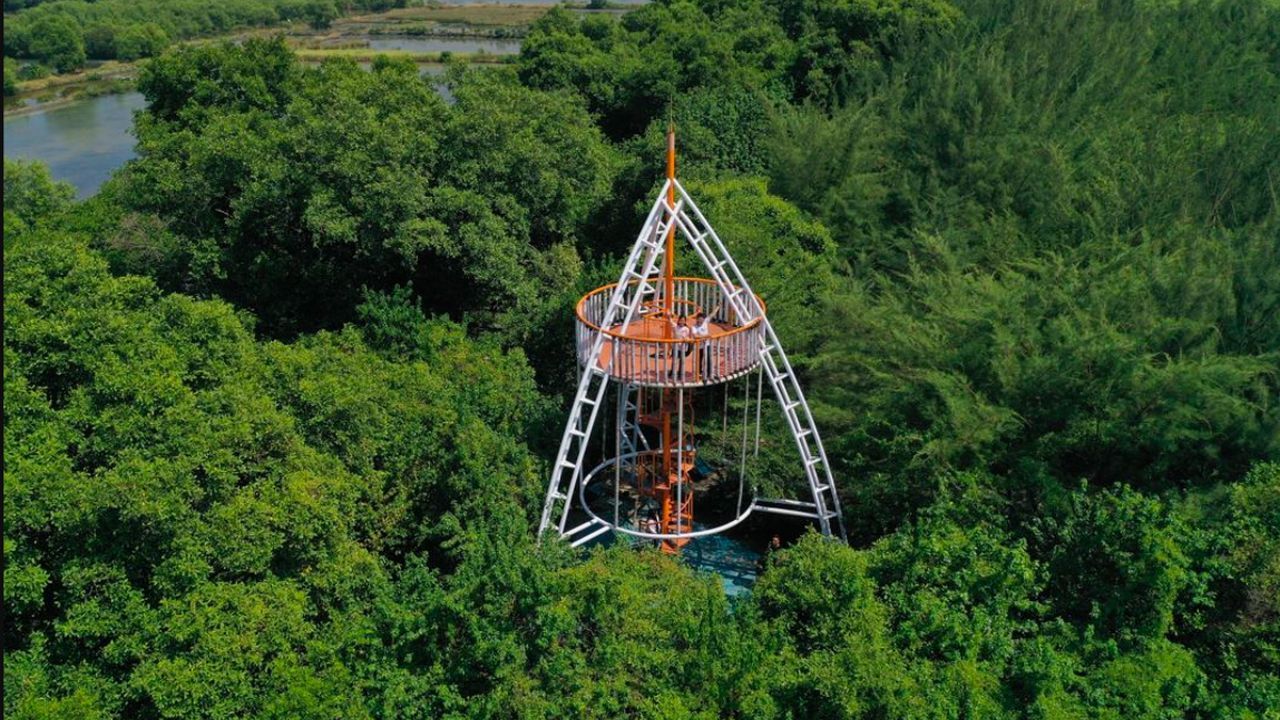 tempat wisata kebun raya mangrove surabaya.jpg