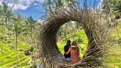 Alas Harum Bali, Menikmati Pemandangan Sawah Hijau