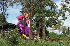 Alas Prambon, Tempat Wisata Edukasi & Outbound di Sidoarjo